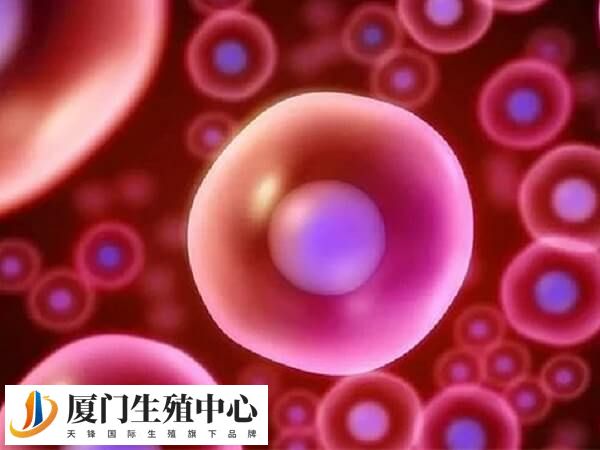 厦门生殖医院比较好的三甲医院汇总，附比较新生殖机构排名榜单