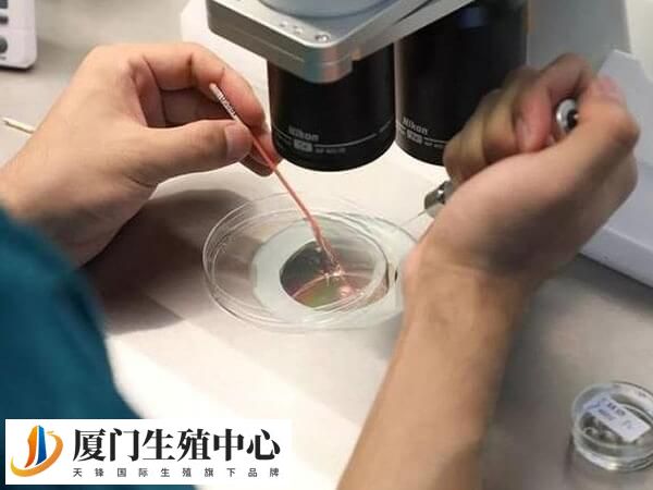 乳房痛可能是胚胎着床了