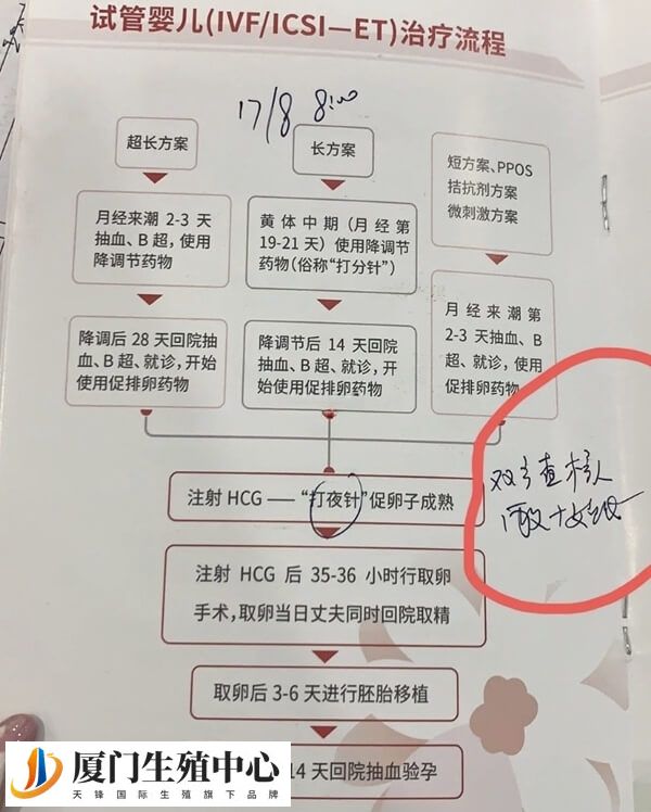 试管婴儿全流程是怎么样的