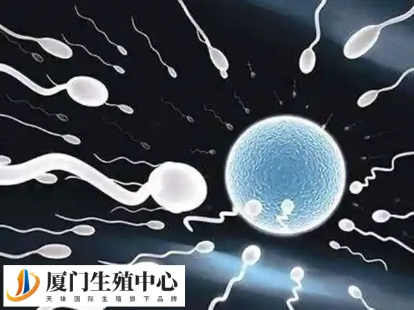 宫寒做试管婴儿成功率多少