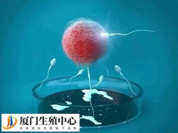 试管移植前孕酮多少没有固定的数值