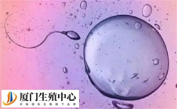 使用黄体促排方案时出现不适要及时就医