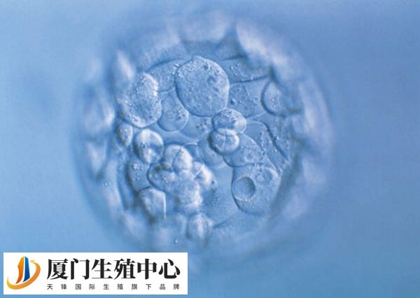 黄体期促排不能移植鲜胚的原因是什么