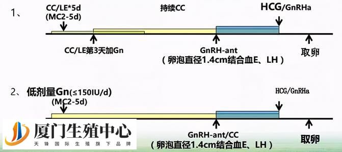 黄体期方案的卵泡和胚胎质量高不高