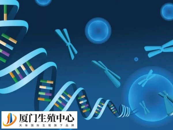 三代试管婴儿预实验是优先抽子代血液用于检查吗？