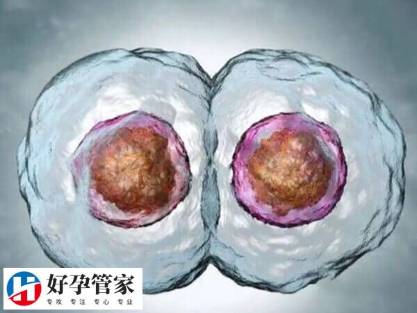 60岁试管婴儿成功案例是哪个医院做的