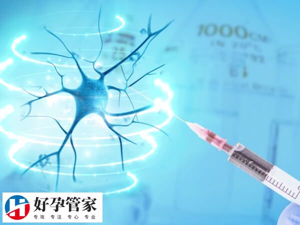 二次移植人工周期需要多久