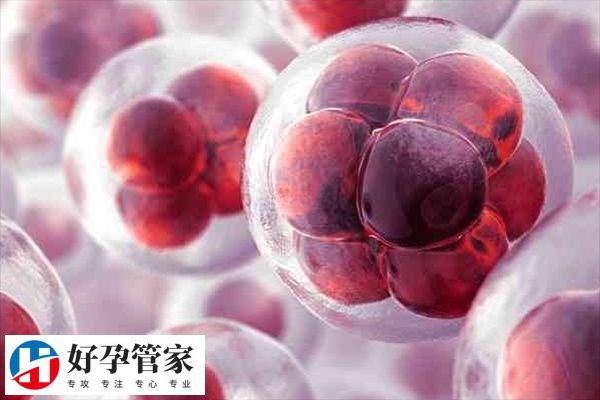 取7个卵配成6个说明什么