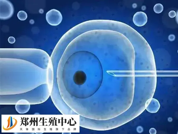 1-250526101A2619.webp